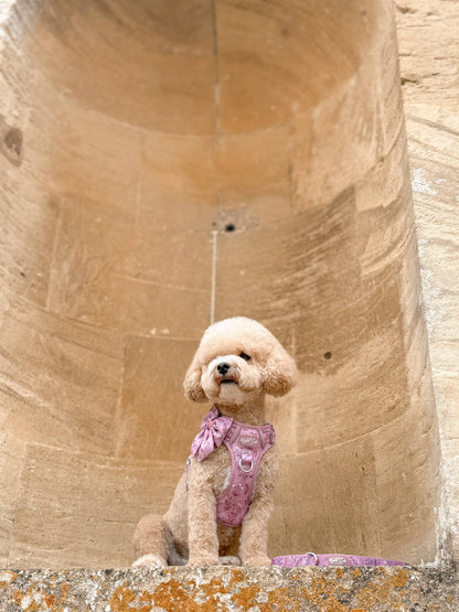 Dog Sailor Bow: Chiswick Rosewood