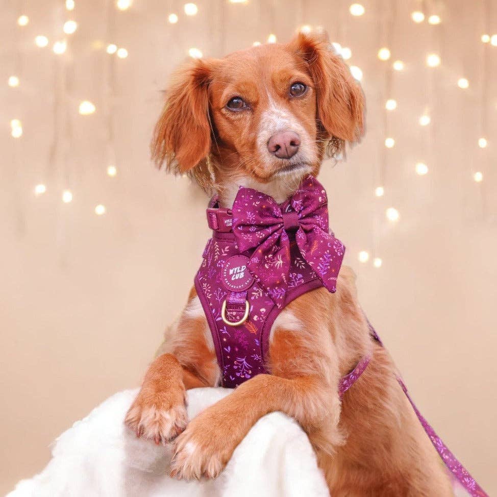 Dog Sailor Bow: Chiswick Fig
