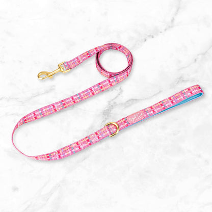Dog Lead: Belgravia Bonbon