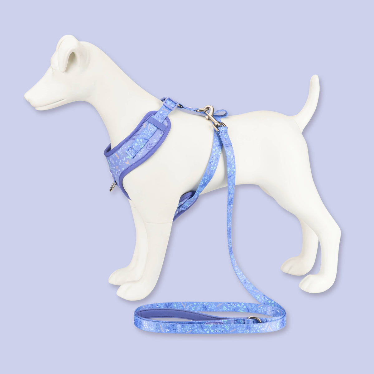 Adjustable Dog Harness: Chiswick Aeris