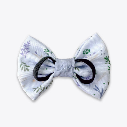 Dog Dickie Bow: Chiswick Thistle