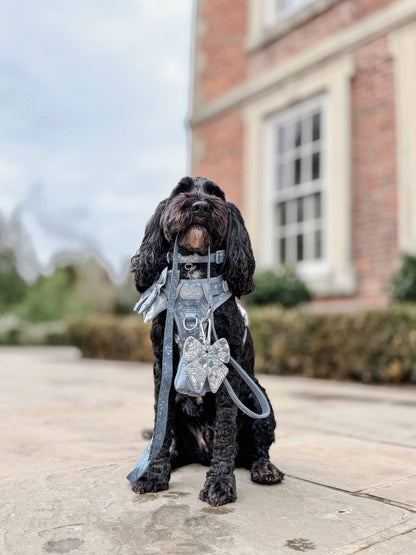 Dog Lead: Chiswick Dovetail