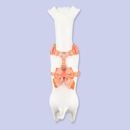 Adjustable Dog Harness: Chiswick Papaya