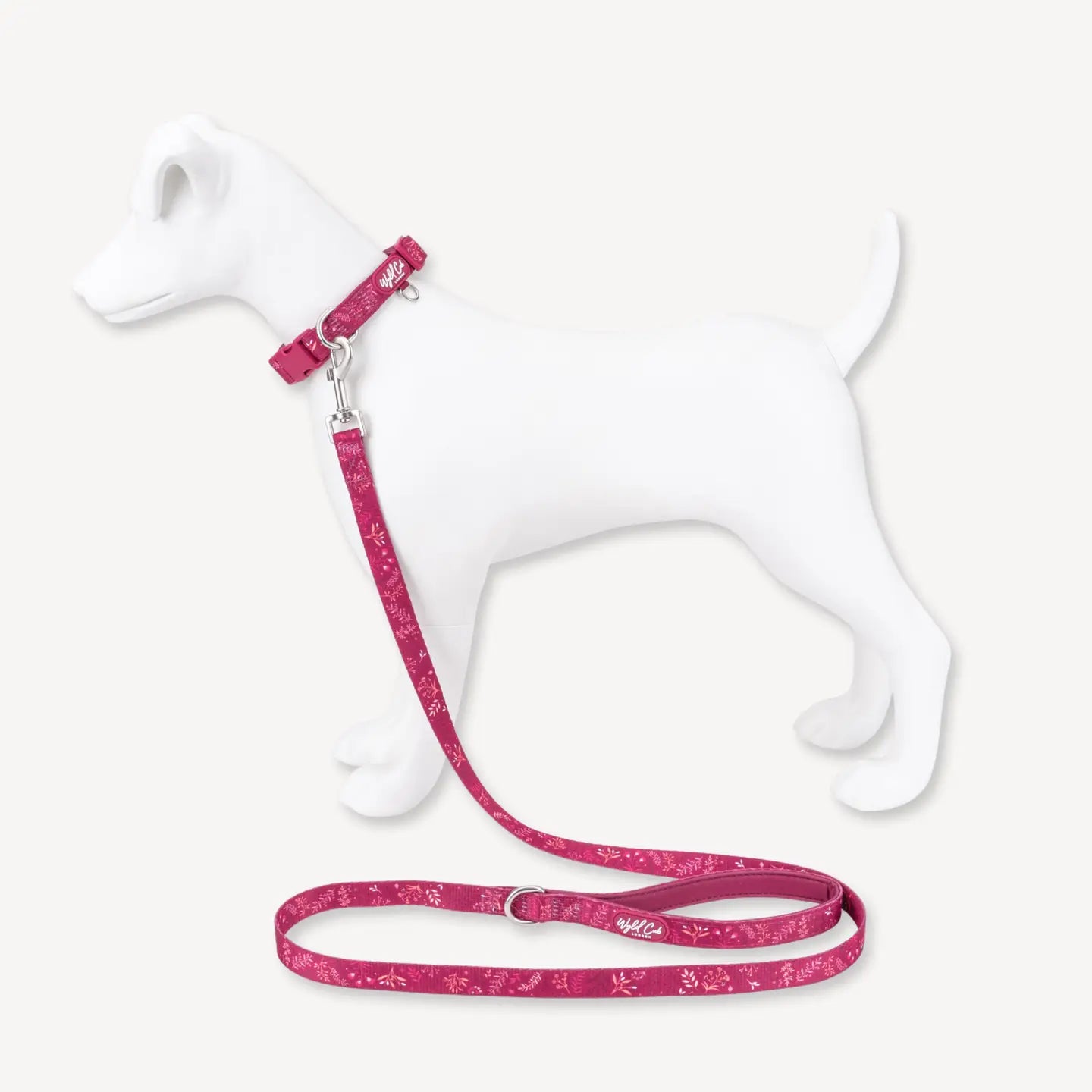 Dog Lead: Chiswick Dragonfruit