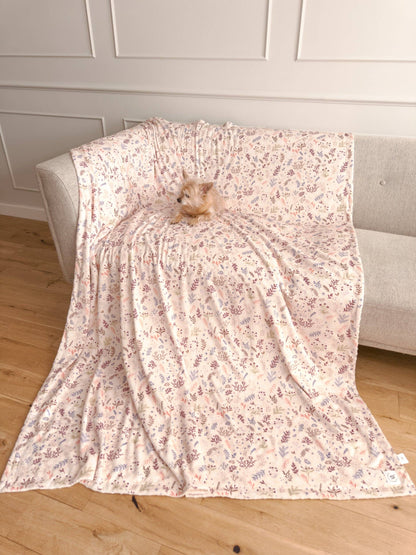 Blanket: Chiswick Oyster
