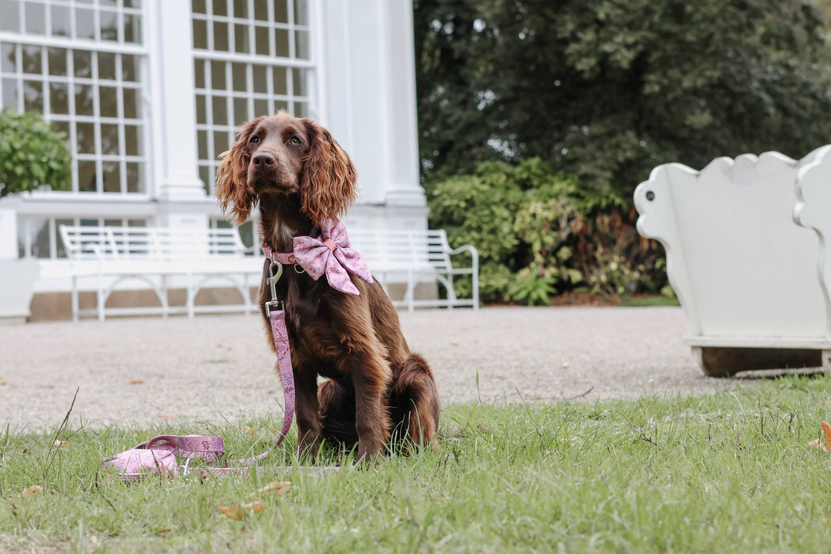 Dog Sailor Bow: Chiswick Rosewood