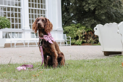 Dog Sailor Bow: Chiswick Rosewood