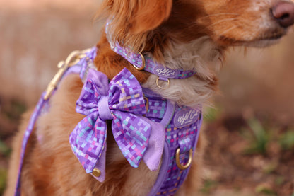 Adjustable Dog Collar: Belgravia Sugarplum