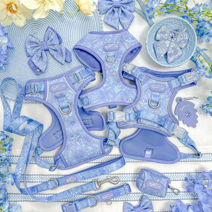 Dog Butterfly Bow: Chiswick Aeris