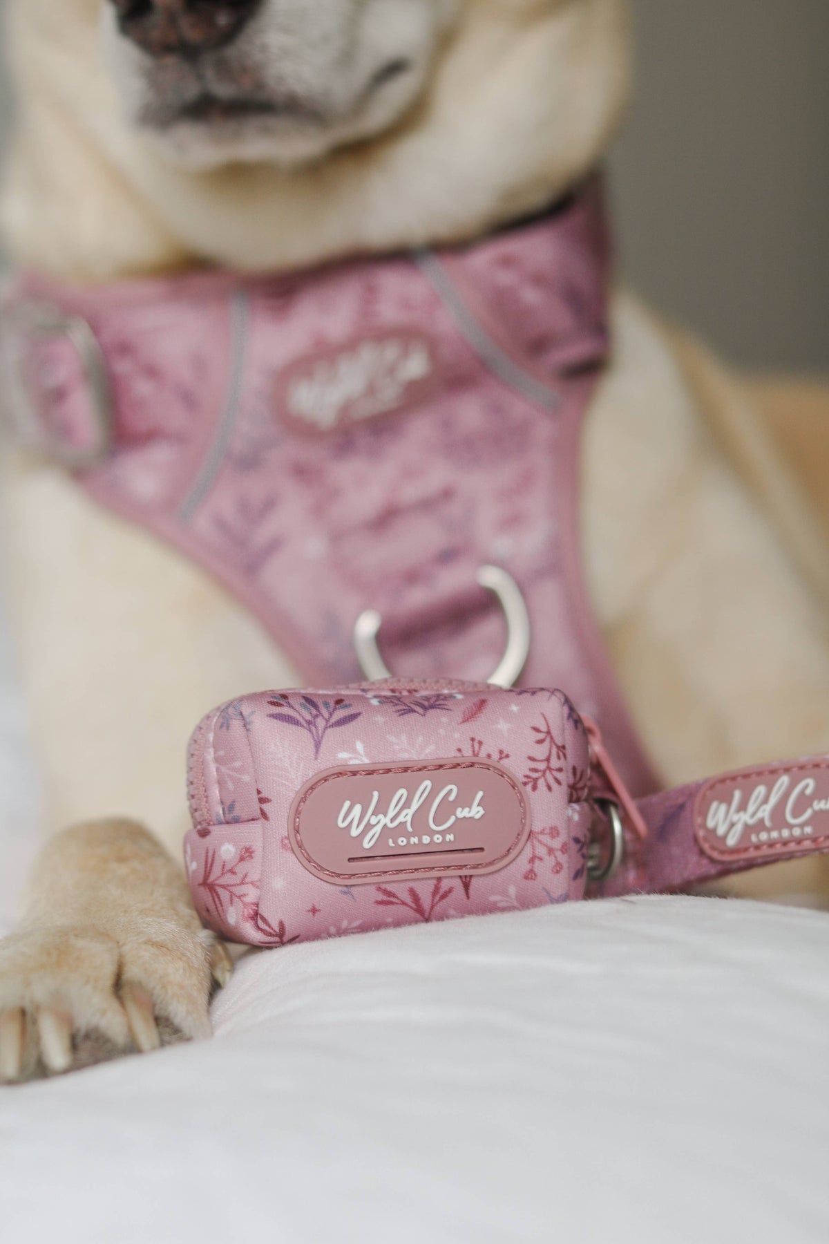 Dog Poop Bag Holder: Chiswick Rosewood