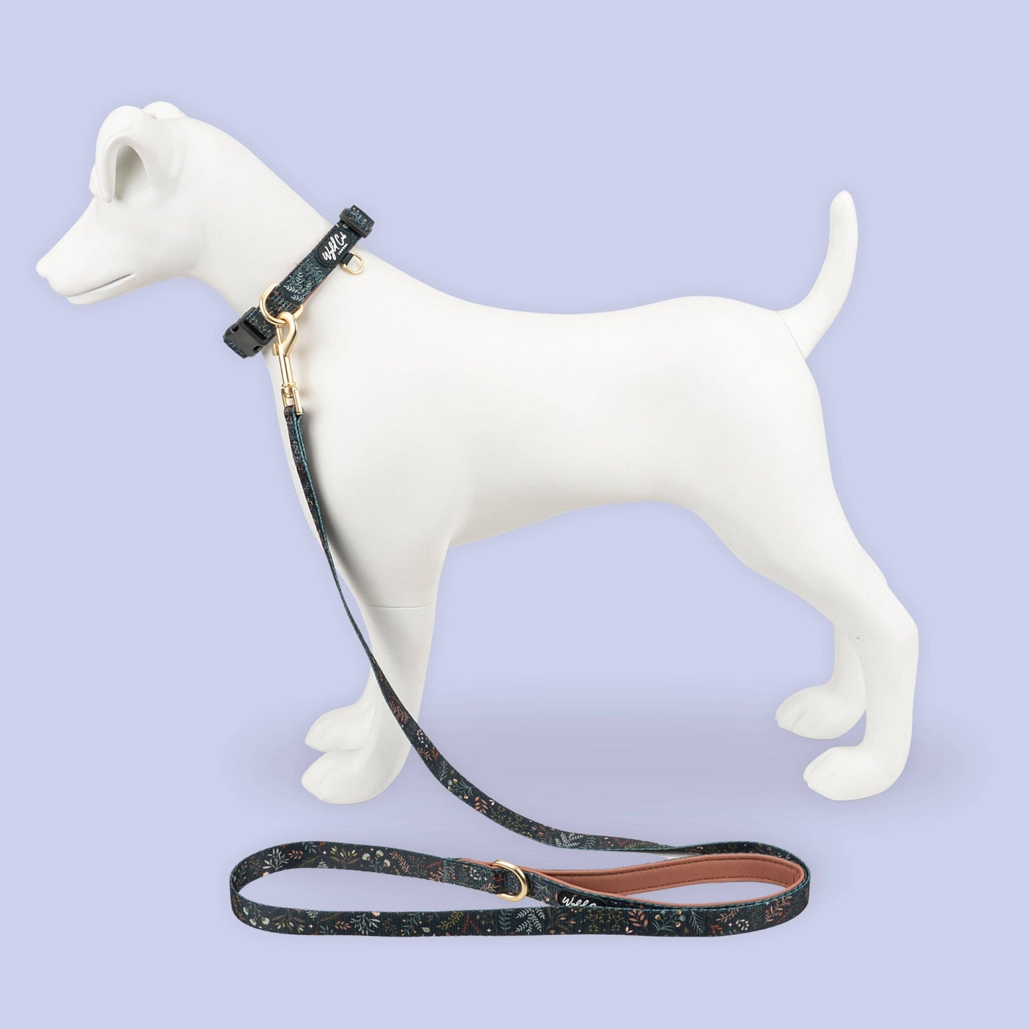 Adjustable Dog Collar: Chiswick Ravenwood