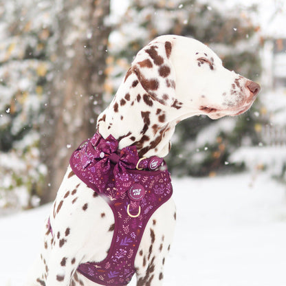 Dog Sailor Bow: Chiswick Fig