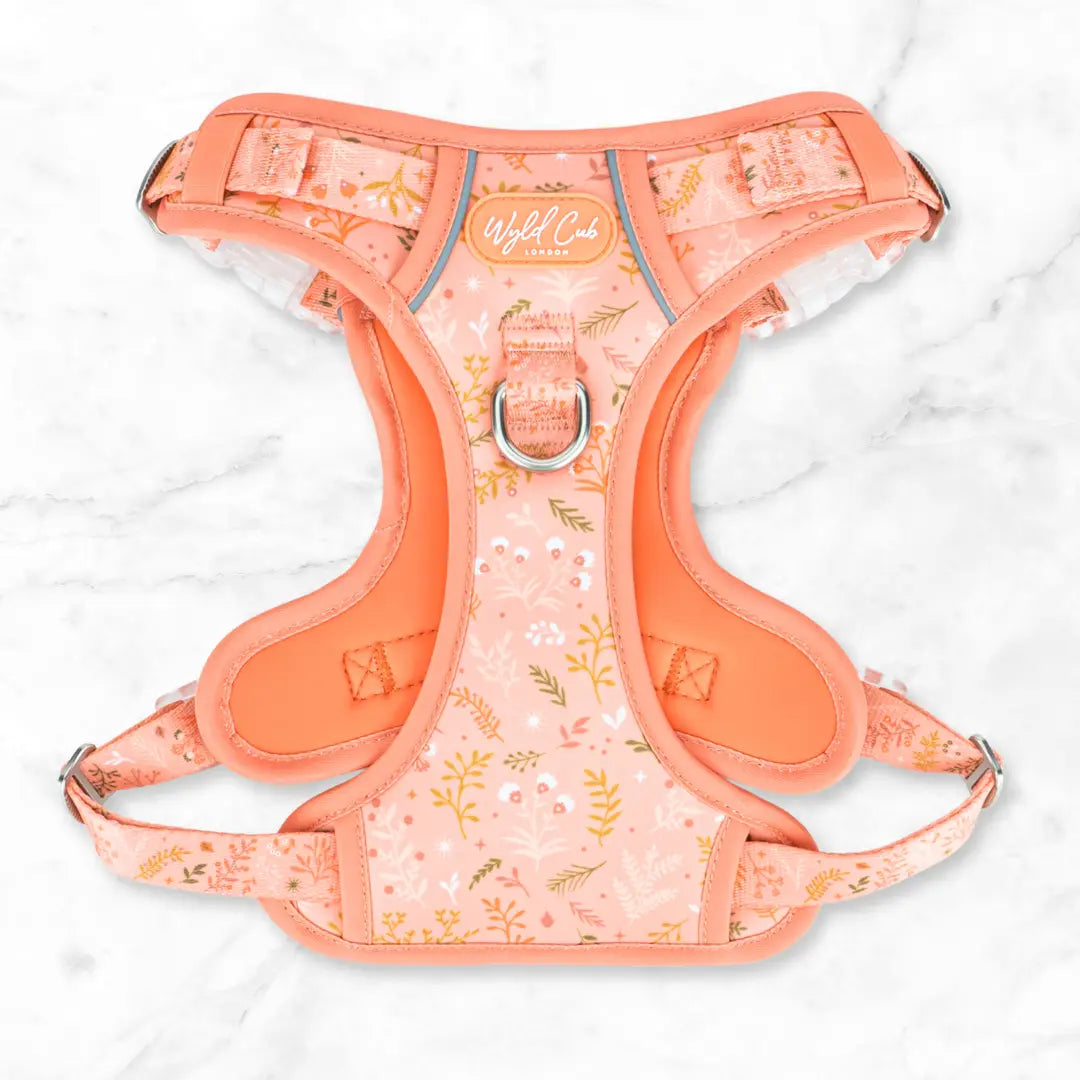 Step & Switch® Dog Harness: Chiswick Papaya