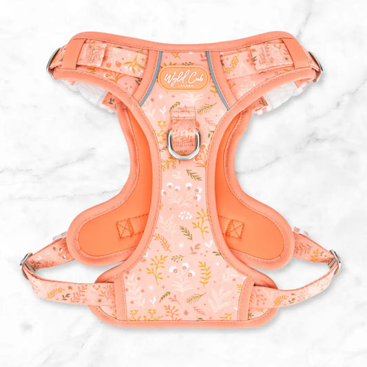 Step & Switch® Dog Harness: Chiswick Papaya