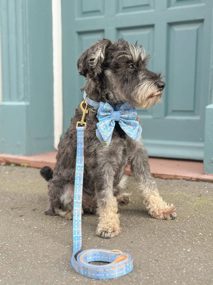 Dog Lead: Belgravia Macaron