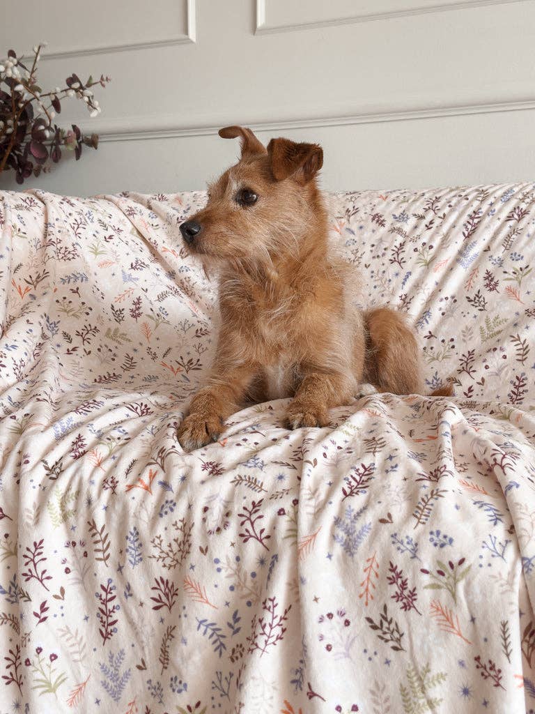 Blanket: Chiswick Oyster