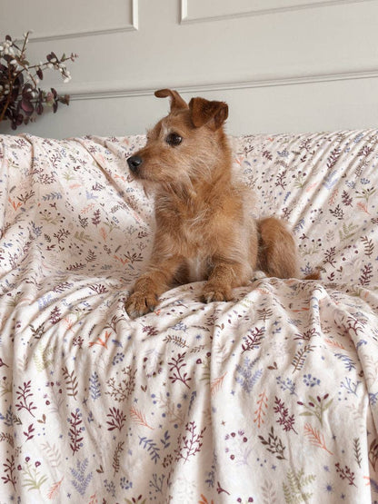 Blanket: Chiswick Oyster