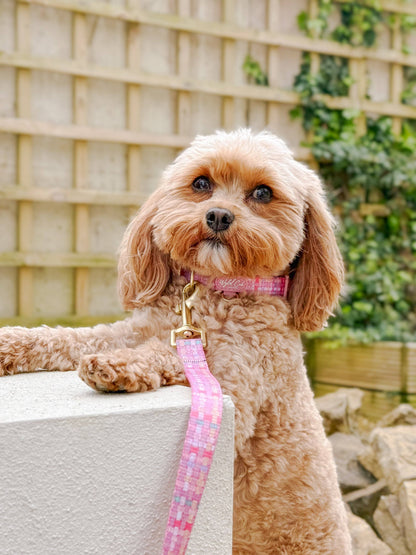 Dog Lead: Belgravia Bonbon