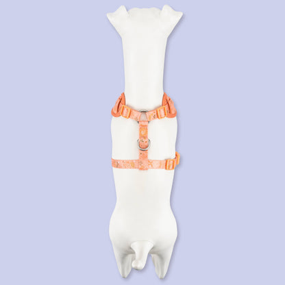 Adjustable Dog Harness: Chiswick Papaya