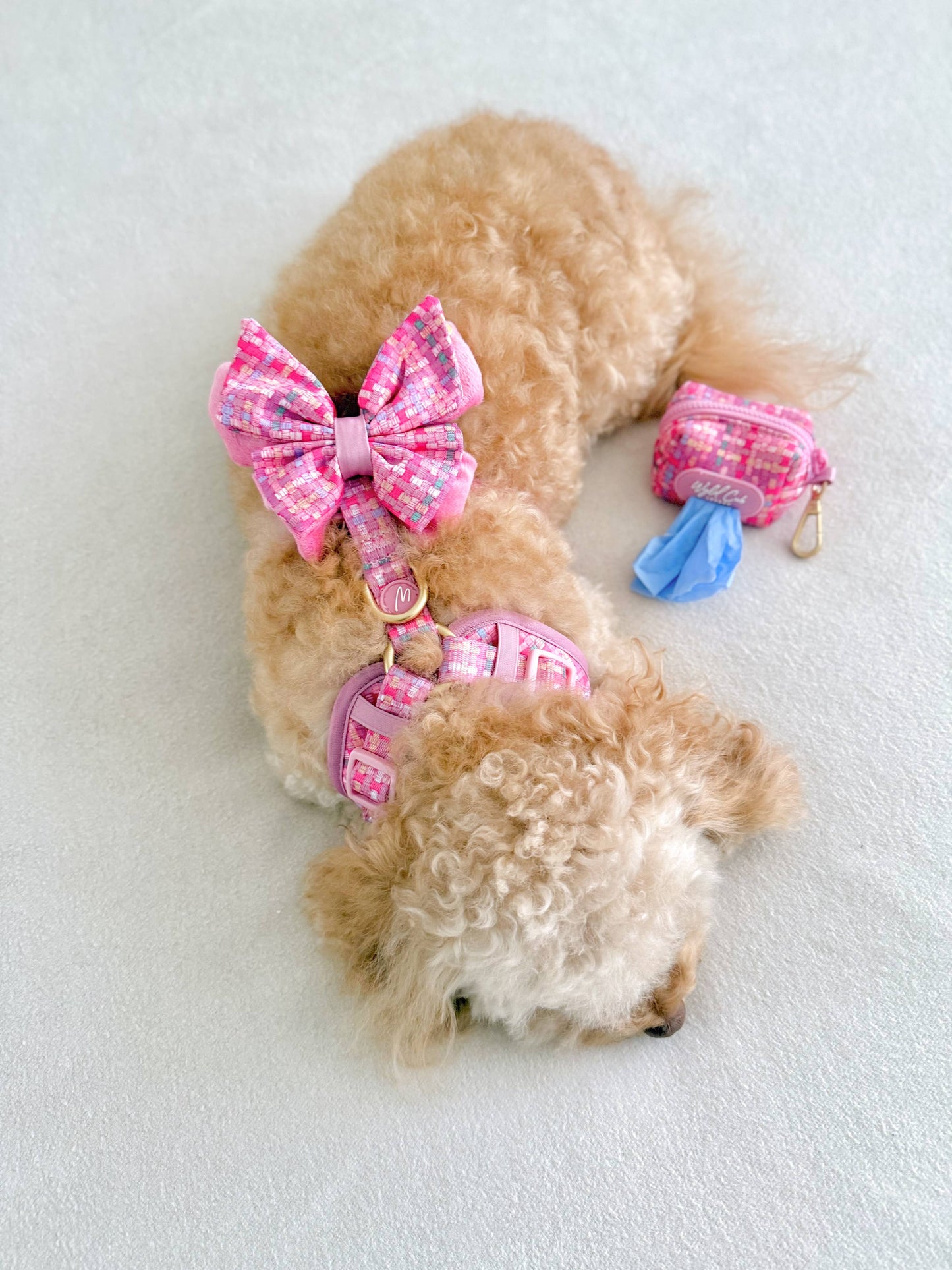 Dog Butterfly Bow: Belgravia Bonbon