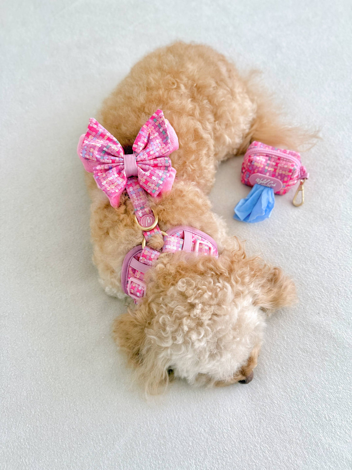 Adjustable Dog Harness: Belgravia Bonbon