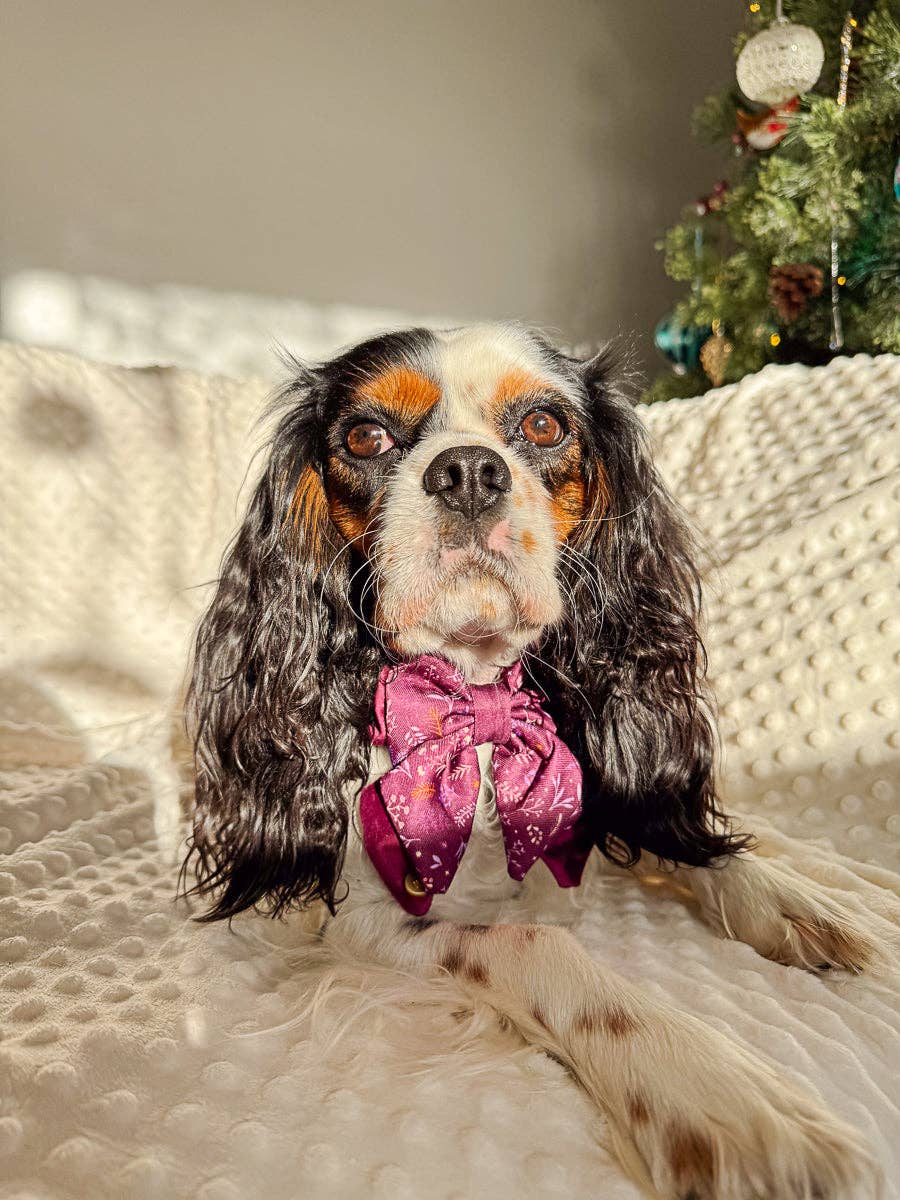 Dog Butterfly Bow: Chiswick Fig