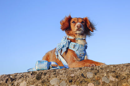 Dog Poop Bag Holder: Belgravia Macaron