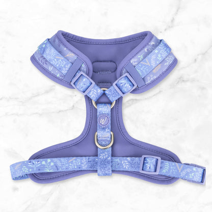 Adjustable Dog Harness: Chiswick Aeris