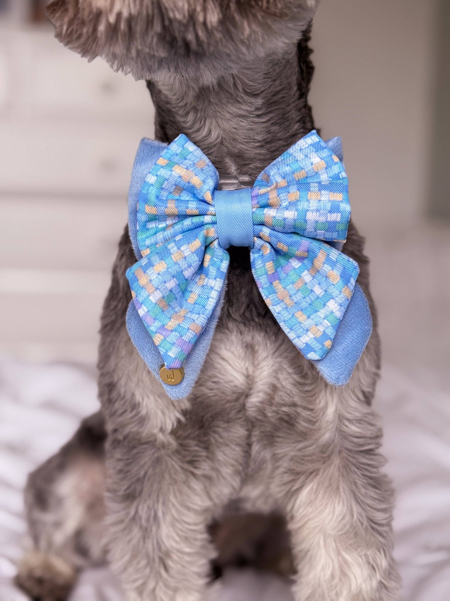 Dog Butterfly Bow: Belgravia Macaron