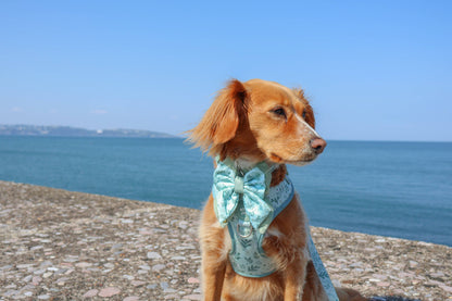 Dog Butterfly Bow: Chiswick Pistachio