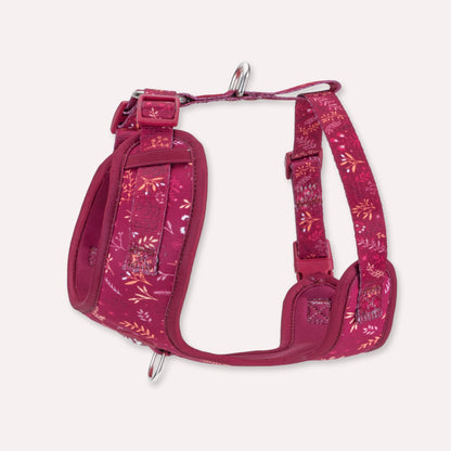 Adjustable Dog Harness: Chiswick Dragonfruit
