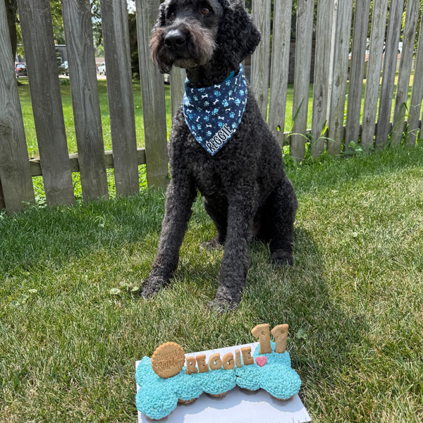 Customer photo for Blue Pawprint Bandana