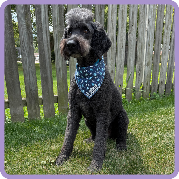 Customer photo for Blue Pawprint Bandana