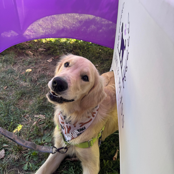 Customer photo for Branch Manager Bandana