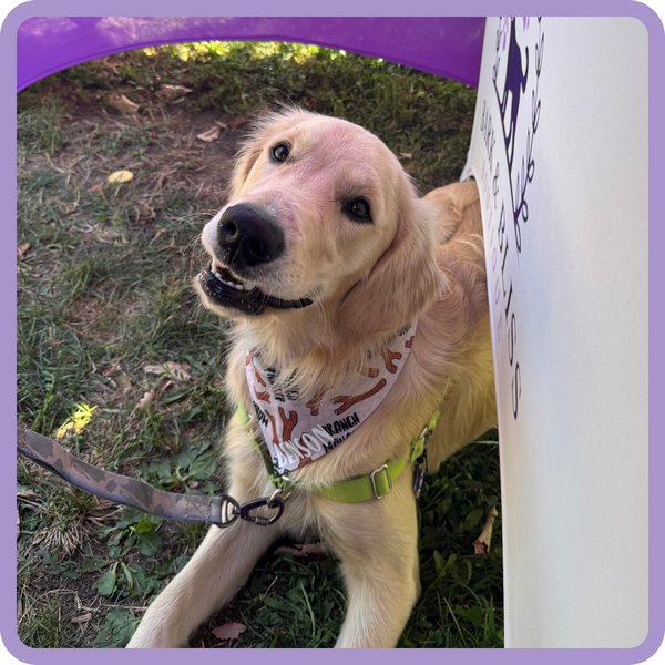 Customer photo for Branch Manager Bandana