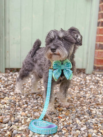 Dog Butterfly Bow: Belgravia Sweetpea