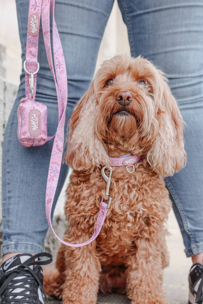 Adjustable Dog Collar: Chiswick Rosewood