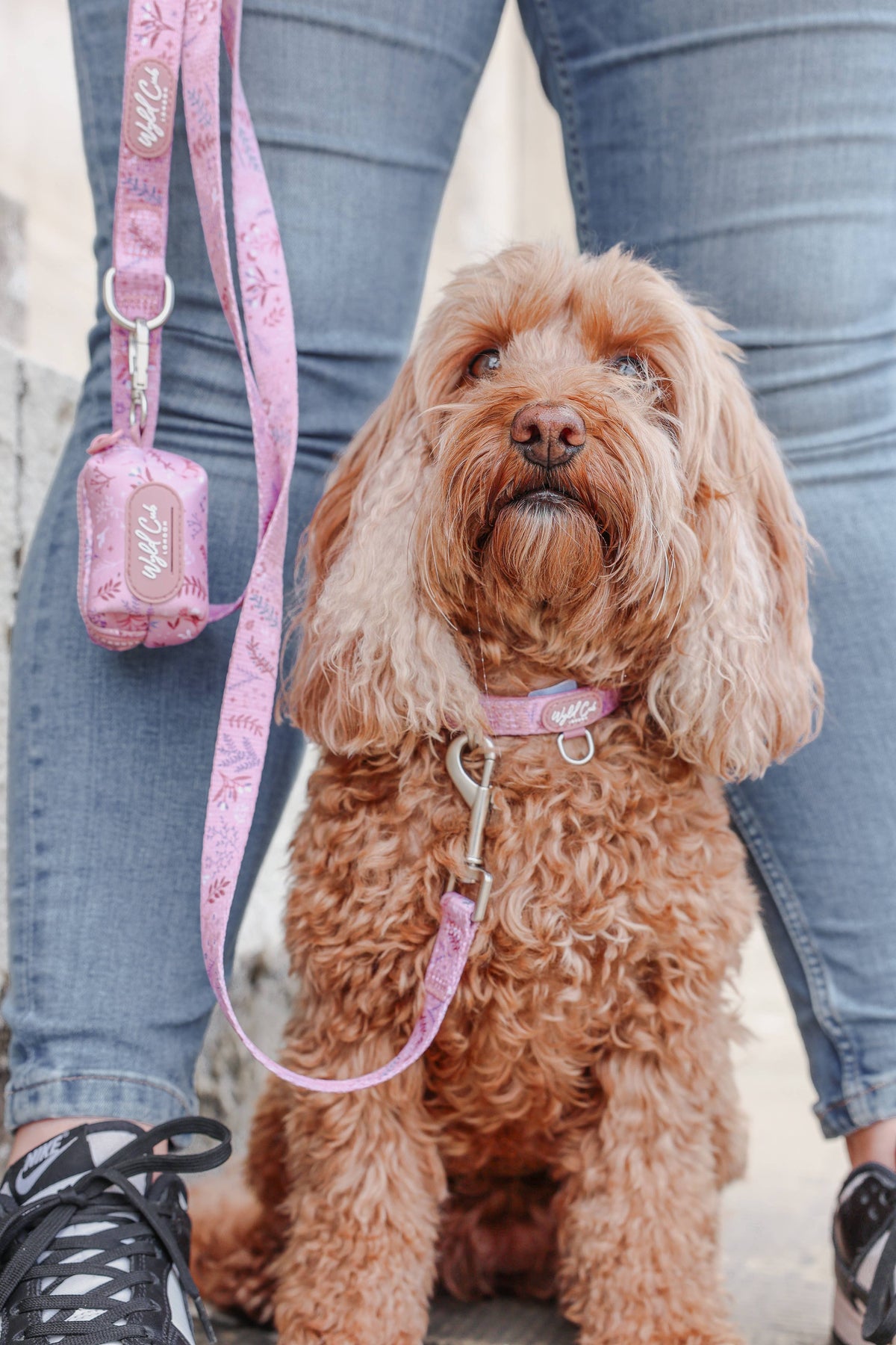 Dog Poop Bag Holder: Chiswick Rosewood