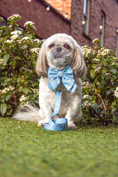 Dog Lead: Belgravia Macaron