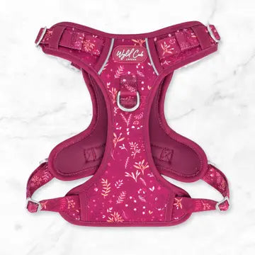 Step & Switch® Dog Harness: Chiswick Dragonfruit