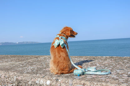 Dog Butterfly Bow: Chiswick Pistachio