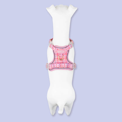 Step & Switch® Dog Harness: Belgravia Bonbon