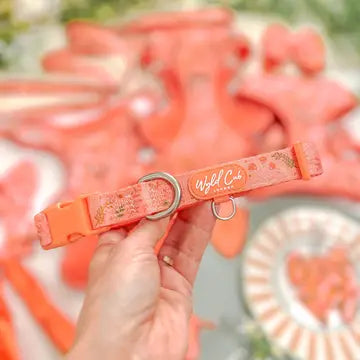 Adjustable Dog Collar: Chiswick Papaya
