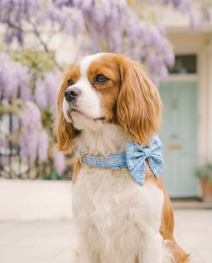 Dog Sailor Bow: Belgravia Macaron