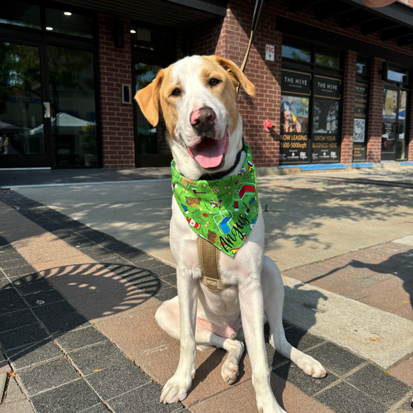 Customer photo for Camping Bandana