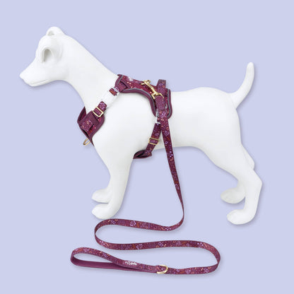 Step & Switch® Dog Harness: Chiswick Fig