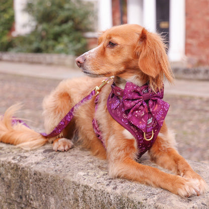 Dog Sailor Bow: Chiswick Fig