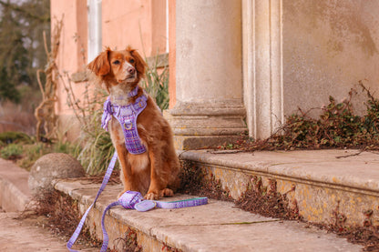 Dog Poop Bag Caddy: Belgravia Sugarplum