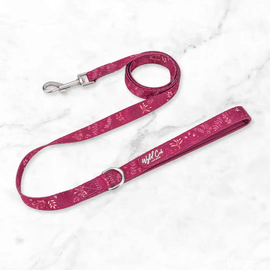 Dog Lead: Chiswick Dragonfruit