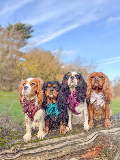Dog Butterfly Bow: Chiswick Fig
